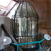 got[26] - Lighthouse [Optic] {1 of 2}