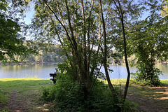 Bench with a Rotten View