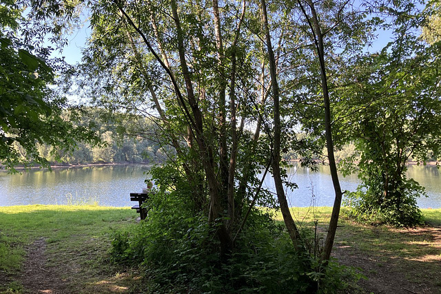 Bench with a Rotten View