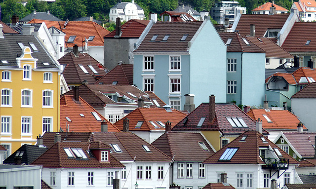 Bergen Roofs