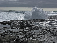 wild atlantic coast