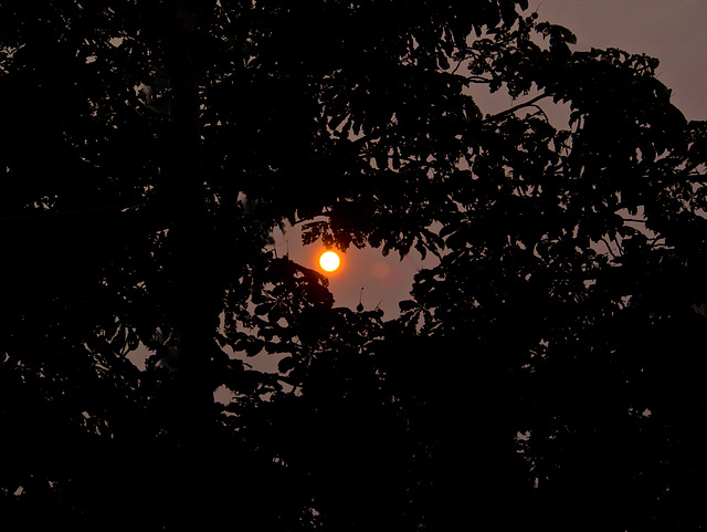 CLIMATE CHANGE SUNRISE: No longer a question of "If", but now, "When" forest fires start?