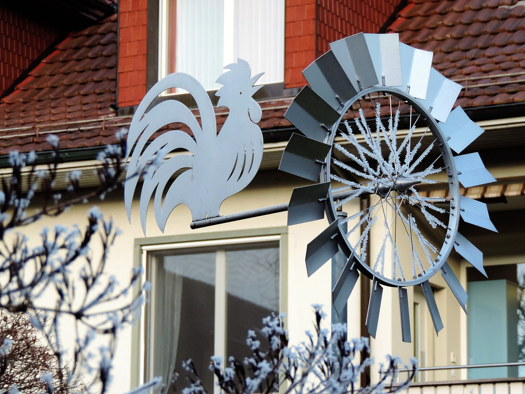 Der Hahn auf dem Windrad...