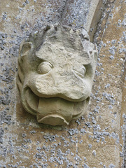 steeple ashton church wilts  c16 headstop on  north aisle (3)