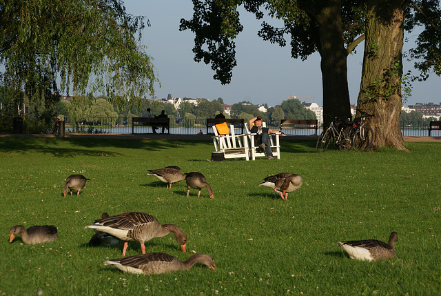 Alsterpark, Hamburg