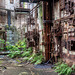 Yeast Factory Yeast Factory