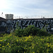Graffiti and Weeds