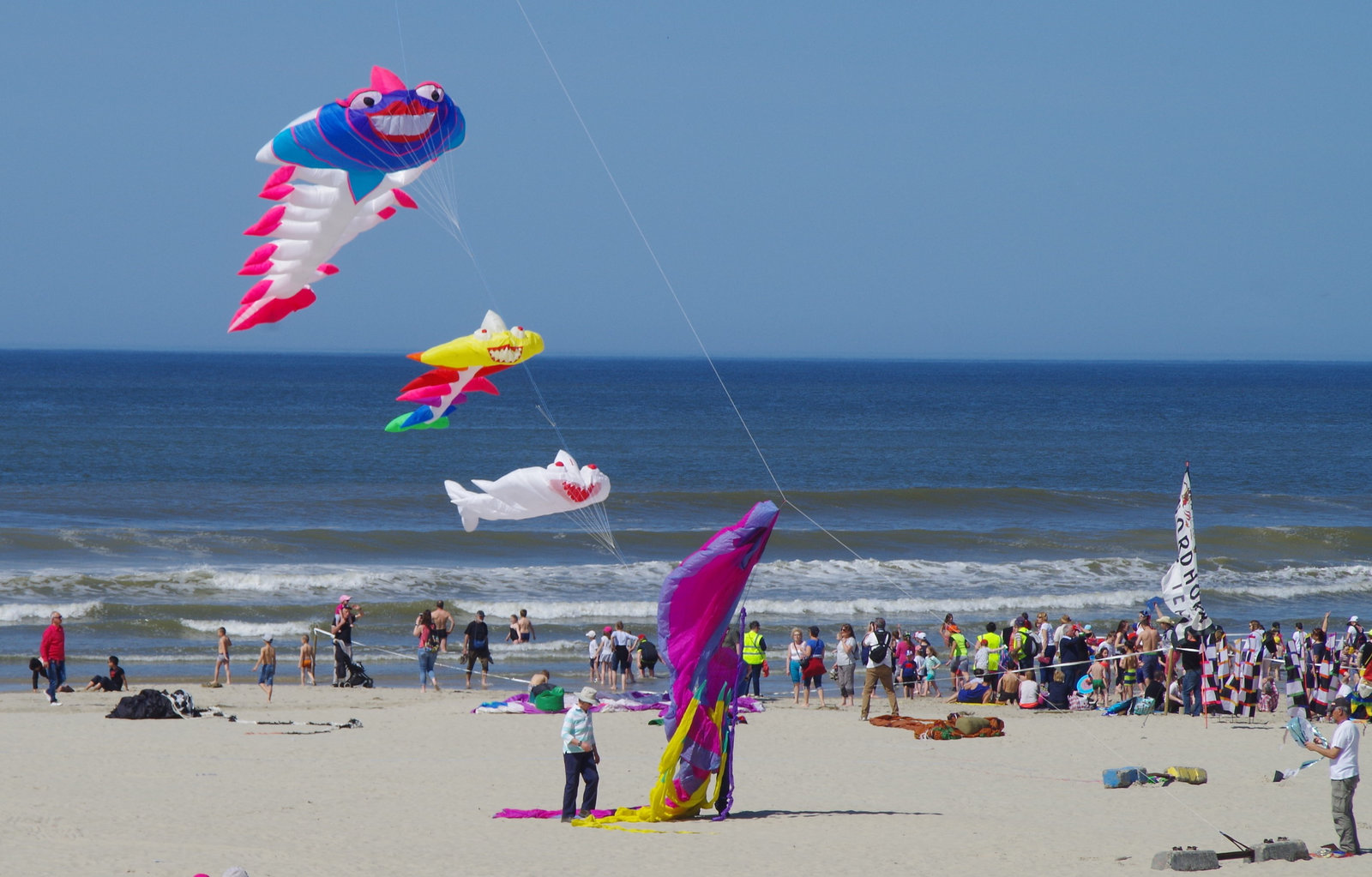 Cerf-volant à Berck