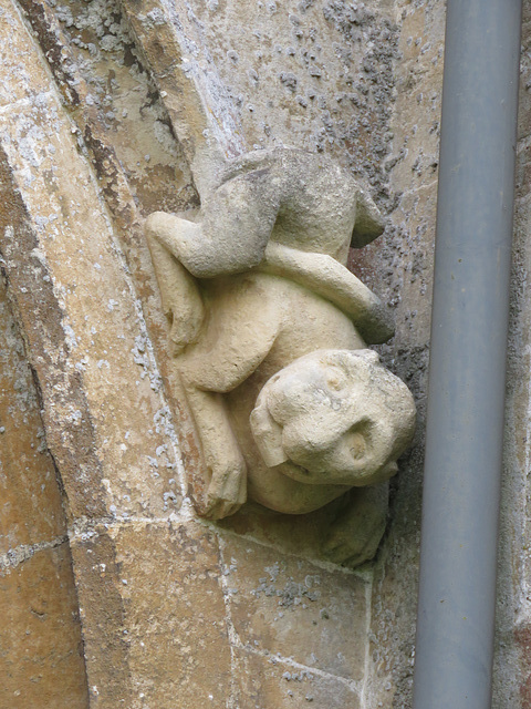 steeple ashton church wilts  c16 headstop on  north aisle (2)