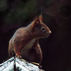 IMG 7717-FHD