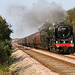 70013 OLIVER CROMWELL on The Scarborough Spa Express  at Robins Bottom Plantation Crossing 1st September 2011