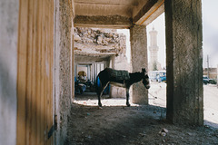 Près de la mosquée Sidi Baafou