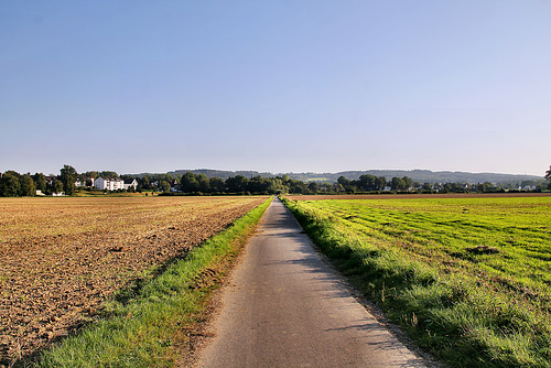 Feldweg in der Ergster Ruhraue (Schwerte) / 9.09.2023
