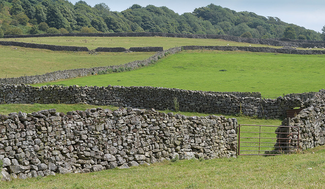 HWW ~ Yorkshire walls