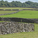 HWW ~ Yorkshire walls