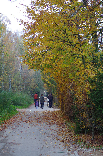 parc des des oiseaux Villars les Dombes