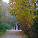 parc des des oiseaux Villars les Dombes