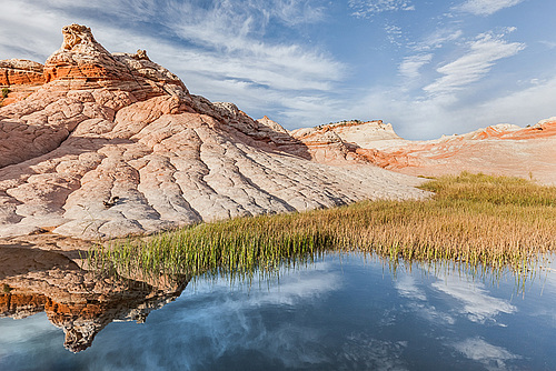 Rock Reflection