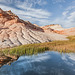 Rock Reflection