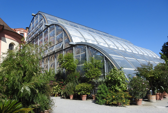 Palmenhaus auf Mainau