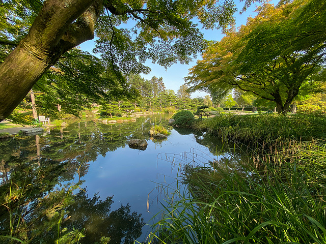 Japanischer Garten am Rhein