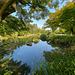 Japanischer Garten am Rhein