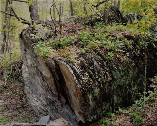 Rock Formation in the mountains of North Carolina, USA