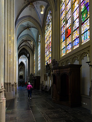 Den Bosch - Sint-Janskathedraal Den Bosch - Sint-Janskathedraal
