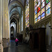 Den Bosch - Sint-Janskathedraal