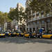 Taxis In The Plaza De Cataluna