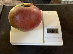 Howgate Wonders - Britain’s largest apple