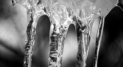 Icicles on barn roof edge Icicles on barn roof edge