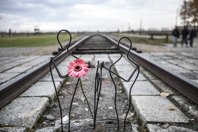 Auschwitz Birkenau-06