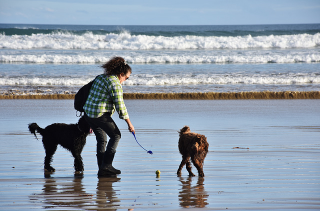 autumn at the beach