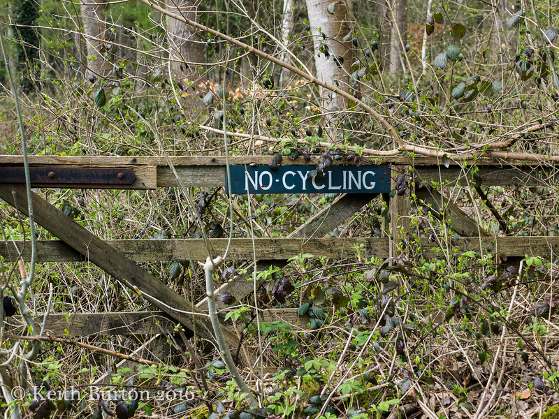 No Cycling