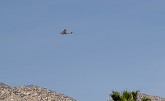 Palm Springs Ford TriMotor (#0138)