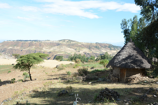 The Outskirts of Ethiopian Village