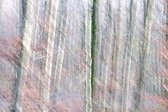 DSCF9464