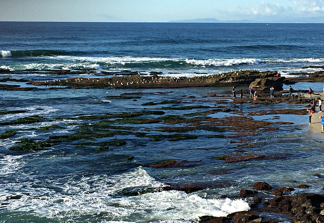 Beach and the rocks