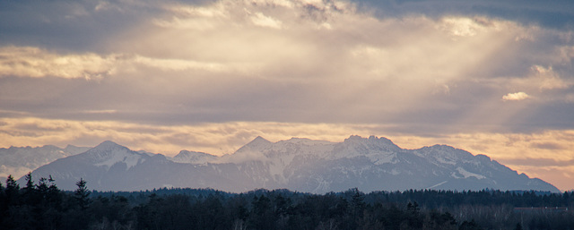 nach dem Neujahr-Spaziergang