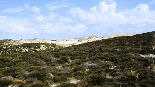 Wanderdüne, Sylt