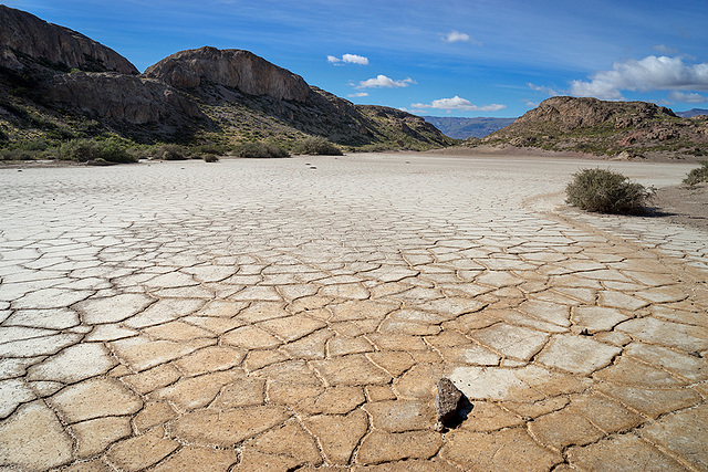 dried out