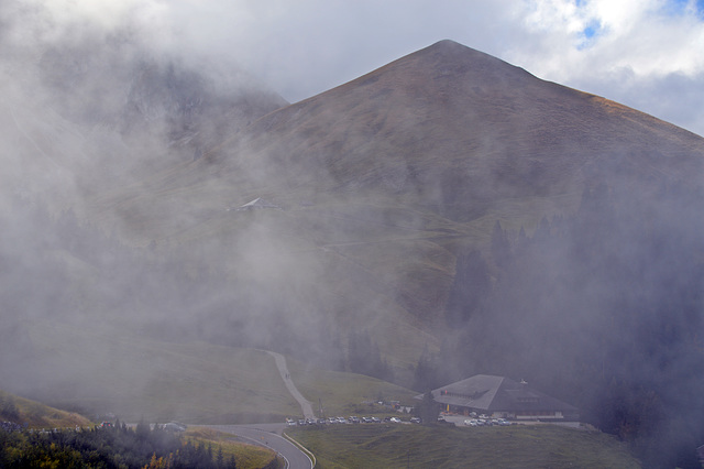 Phönix aus dem Nebel