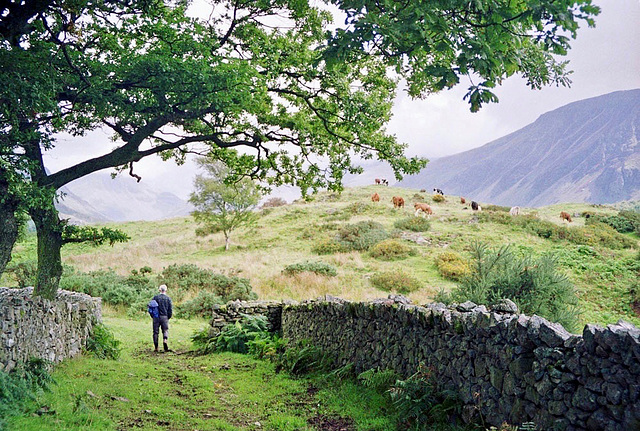 Path through Scale Bridge towards Buckbarrow (Scan from Aug 1992)