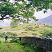 Path through Scale Bridge towards Buckbarrow (Scan from Aug 1992)