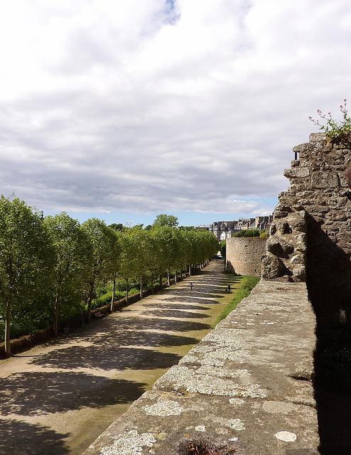 Vue vers "  les petits fossés" depuis le château de Dinan (22)