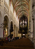 Den Bosch - Sint-Janskathedraal
