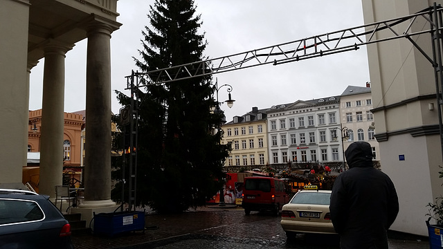 tannenbaum Schwerin 2014