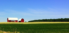 On the Farm.