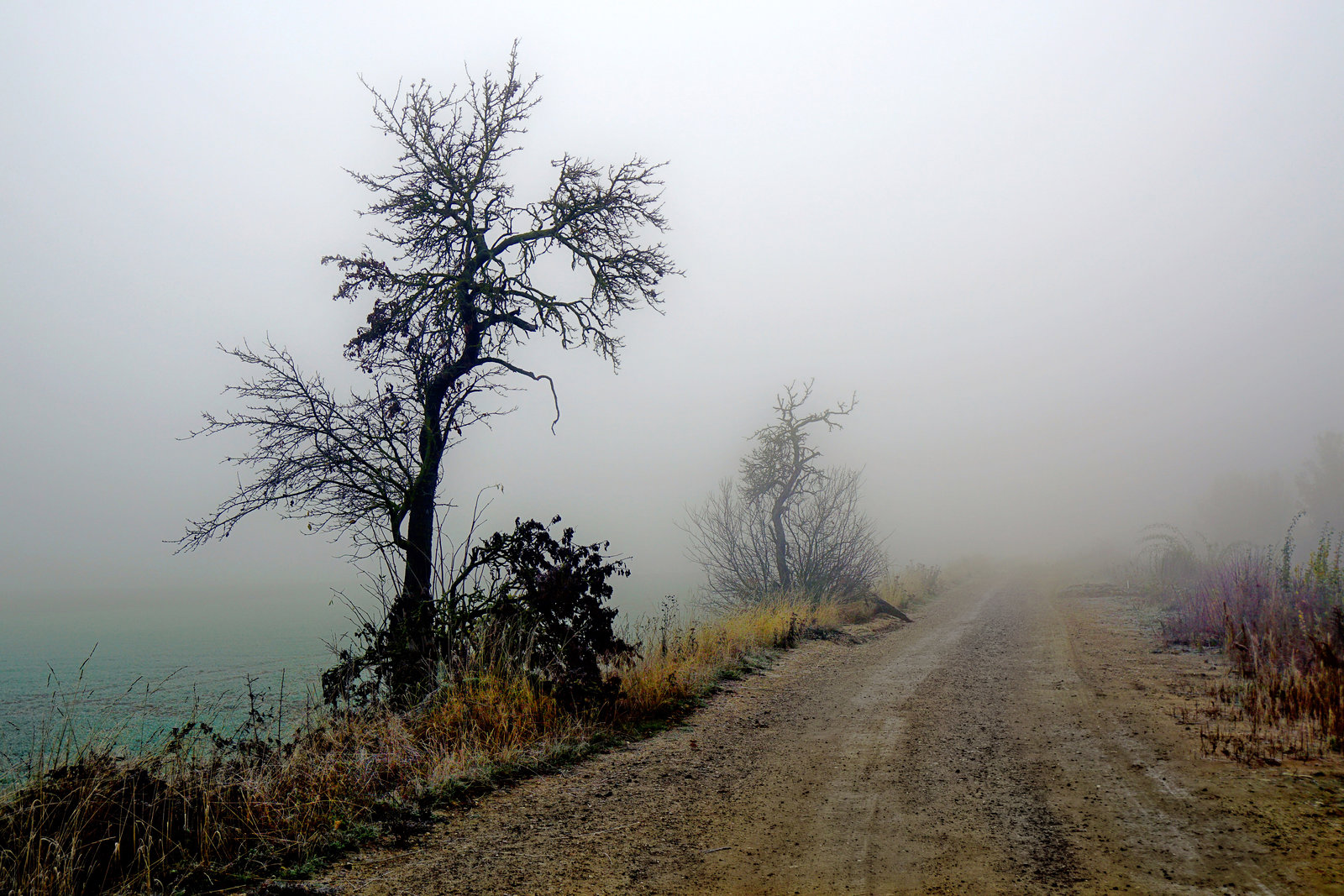 Ein nebliger Novembermorgen - A misty November morning